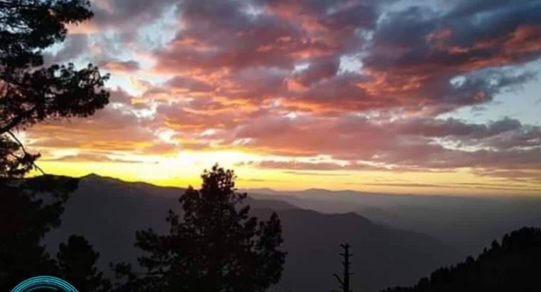 Dream Tour To Peer Chanasi (AJK) For Families/ Couples/ Bachelors