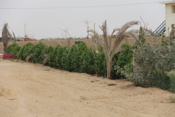PROPERTY PLOTS ; Farm Houses Land on installments near Bahria Town Super Highway