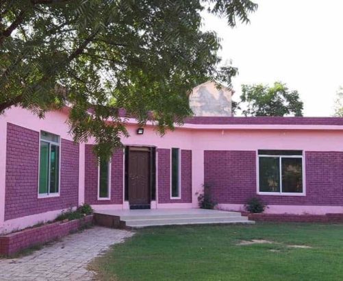 Picnic at Countryside Chalet Resort Karachi.Lets Enjoy Non Stop Fun