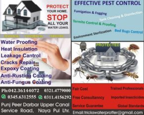 Protect Your Home.Stop all your water Leaks | Effective Pest Control