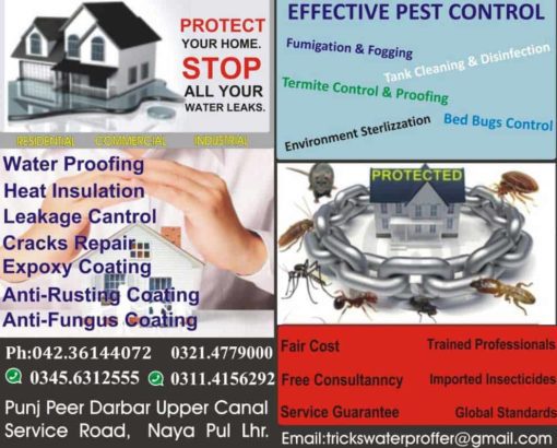Protect Your Home.Stop all your water Leaks | Effective Pest Control
