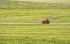 Land Available For Farming.Near New Islamabad International Airport