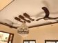 Deal all Types of Construction,Structure & Interior Designing