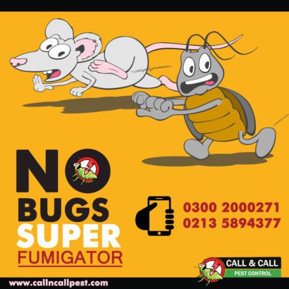 End year Offer.Best Fumigation & pest control Services