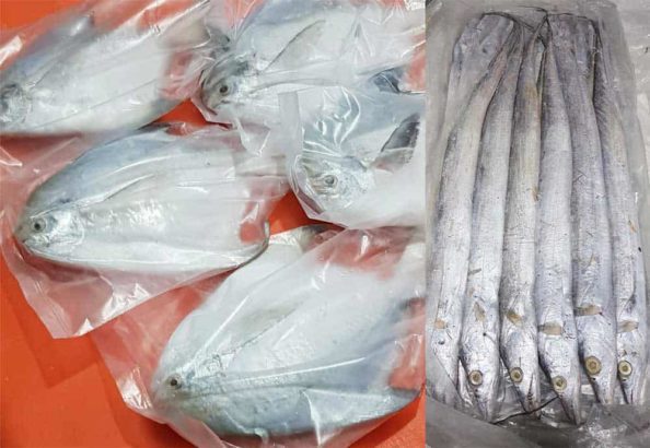 Export All Kinds Of Seafood & Buffalo Cow Goat Lamb Meat & Chicken Feet
