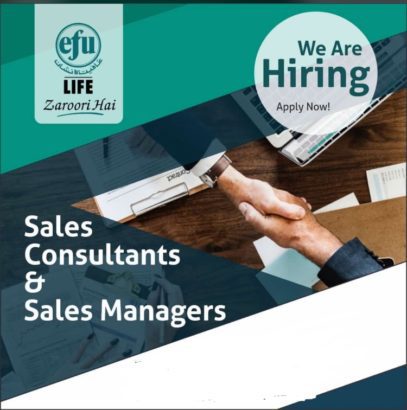 Sales consultant