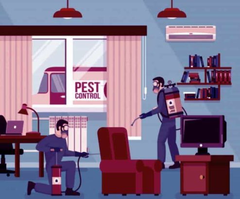 bed bugs/rats control/tank cleaning/ leakage & water proofing