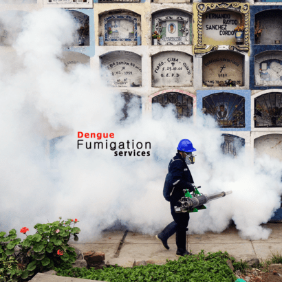 End year Offer.Best Fumigation & pest control Services