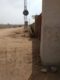 Agriculture Land available
