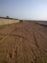 Agriculture Land available