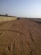 Agriculture Land available