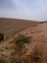 Agriculture Land available