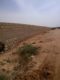 Agriculture Land available