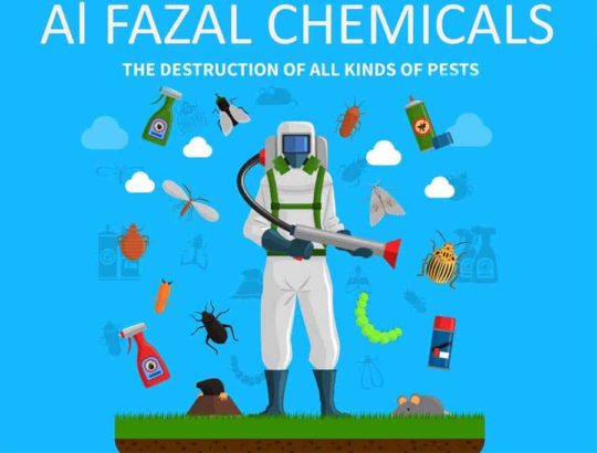 100% Guarantee Fumigation Services