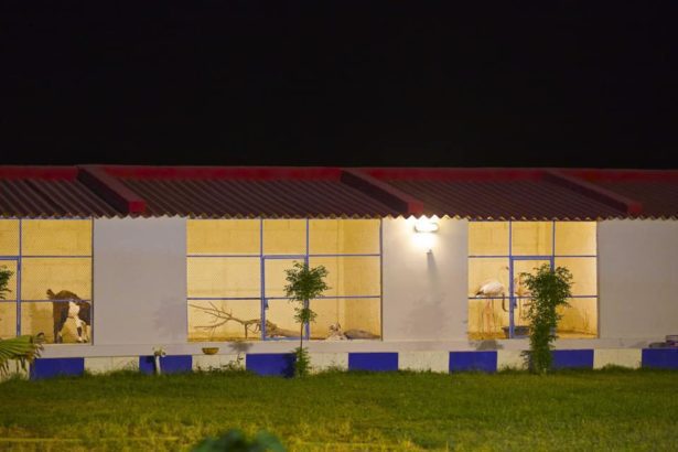 Farms Houses For sale at super highway Karachi