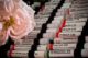 Best online homeopathic store for original imported and Pakistani medicines