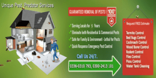 Unique Fumigation, Pest Control Services in Karachi, Termite, Bed Bugs