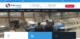 Web Development Services Providers