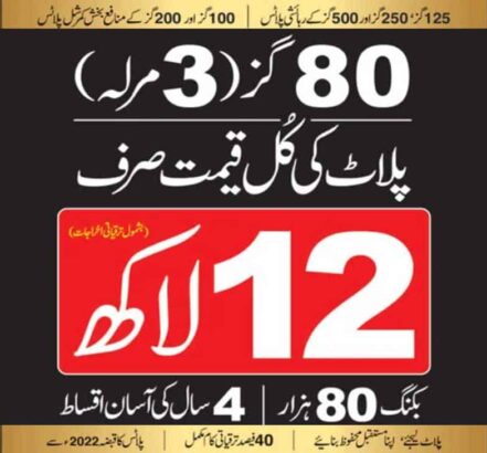 ASF City Karachi Overseas Block.The City Of Future