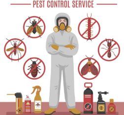 Termite Control in Karachi