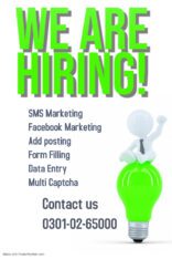 Sizzling offer for males females online Facebook Marketing job
