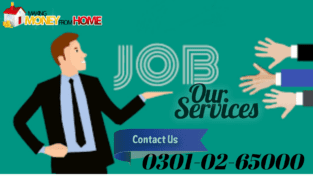 We have the multi jobs Online to earn money