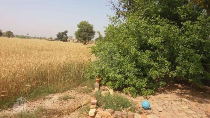 Land for sale.for farm house & agriculture