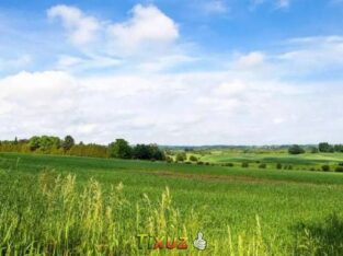Land for sale.for farm house & agriculture