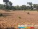 Land for sale.for farm house & agriculture