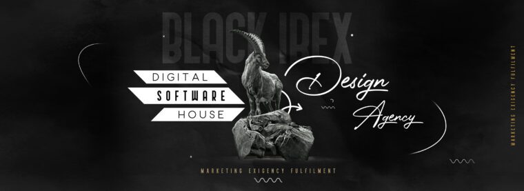 Black Ibex – Digital Marketing Software House