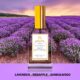 Best Perfumes in Karachi by Musk Al Mahal