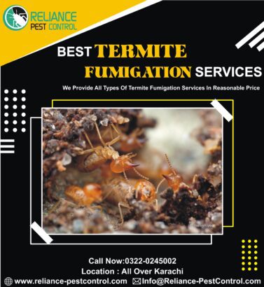 pest control services, fumigation, termite, cockroaches, bed bugs