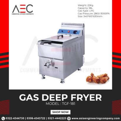 Electric Fryer 6ltr table model