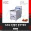 Electric Fryer 6ltr table model