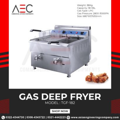 Electric Fryer 6ltr table model