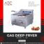 Electric Fryer 6ltr table model