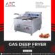 Electric Fryer 6ltr table model
