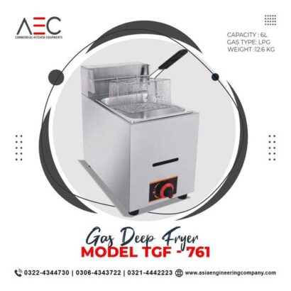 Electric Fryer 6ltr table model