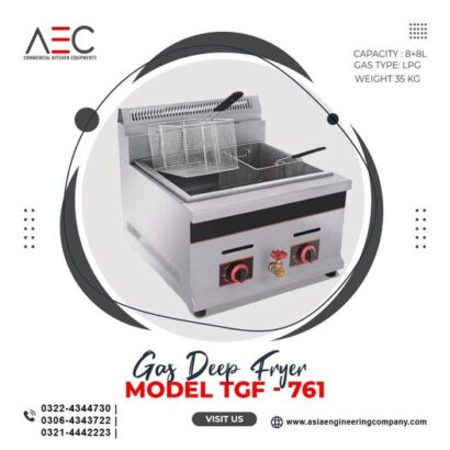 Electric Fryer 6ltr table model