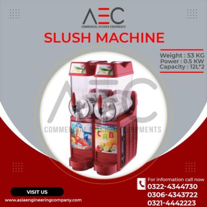 Electric Fryer 6ltr table model