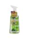 Foaming Hand Wash, Apple & Kiwi WBM Care