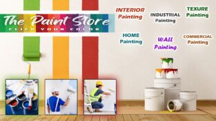 Interior and Exterior Color Paints
