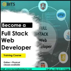 Course Outline of Web Development training in Lahore.