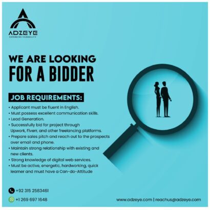 We are looking for a bidder/ Business Developer / Online Bidding Expert