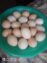 Ghar ke Fresh Andy aur Fresh Desi Ghee