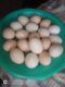 Ghar ke Fresh Andy aur Fresh Desi Ghee