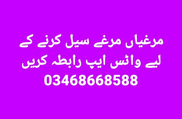Ghar ke Fresh Andy aur Fresh Desi Ghee