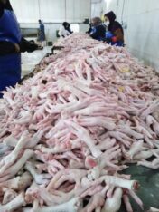 Best Quality Frozen Chicken Parts , Refined Sunflower Oil, Thai White Rice