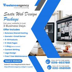 Sasta Web Design Package