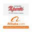 Best Alibaba Official Partner In Sialkot | Web Design & Development Company